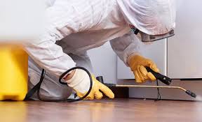 Best Pest Control for Multi-Family Homes  in Clintonville, WI